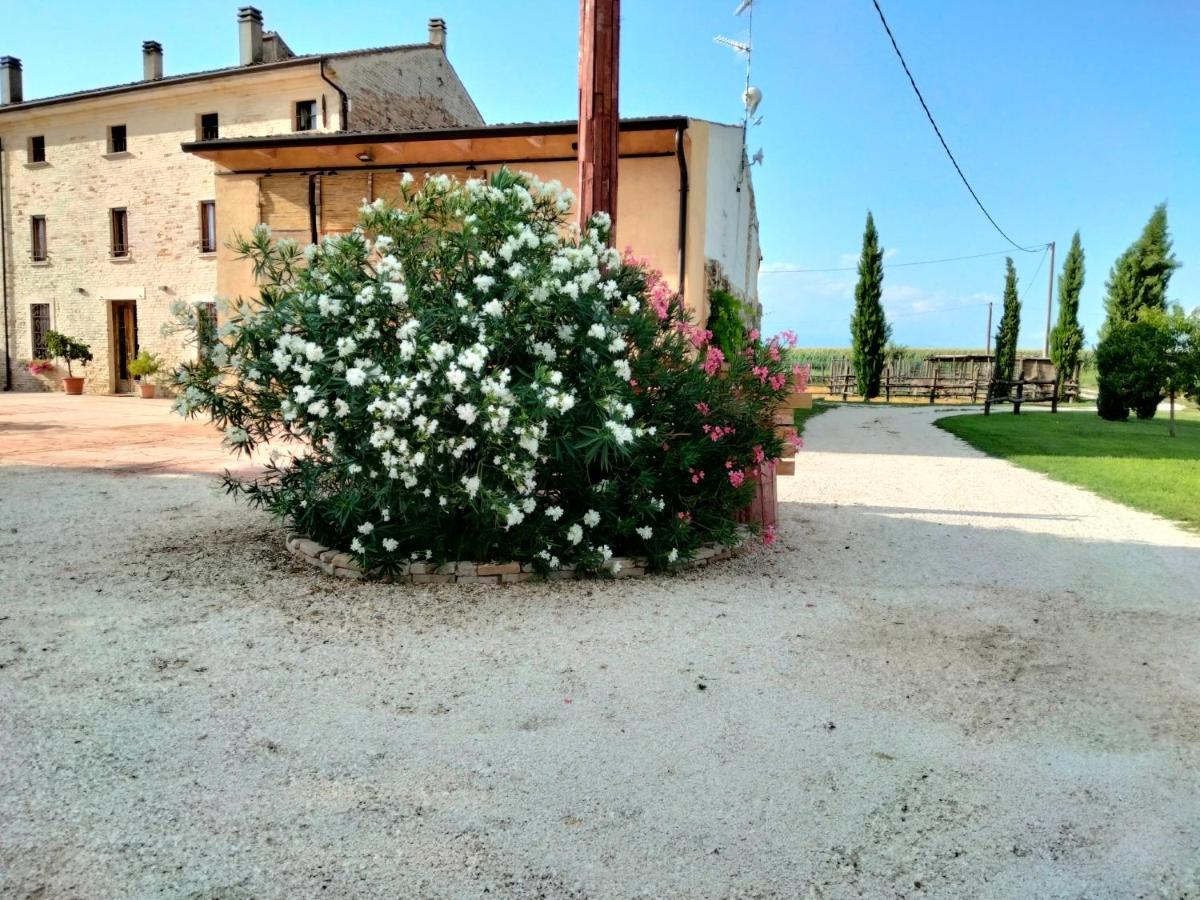 B&B Turistic 7 Castel Goffredo Exterior photo